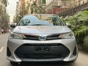 Toyota Axio 2021 Silver