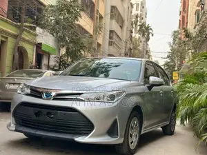 Toyota Axio 2021 Silver