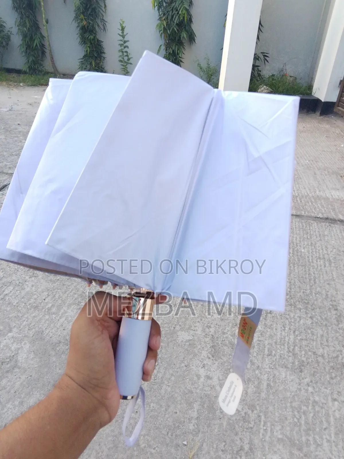 Premium 12 Ribs (6+5) Colour Ful Umbrella