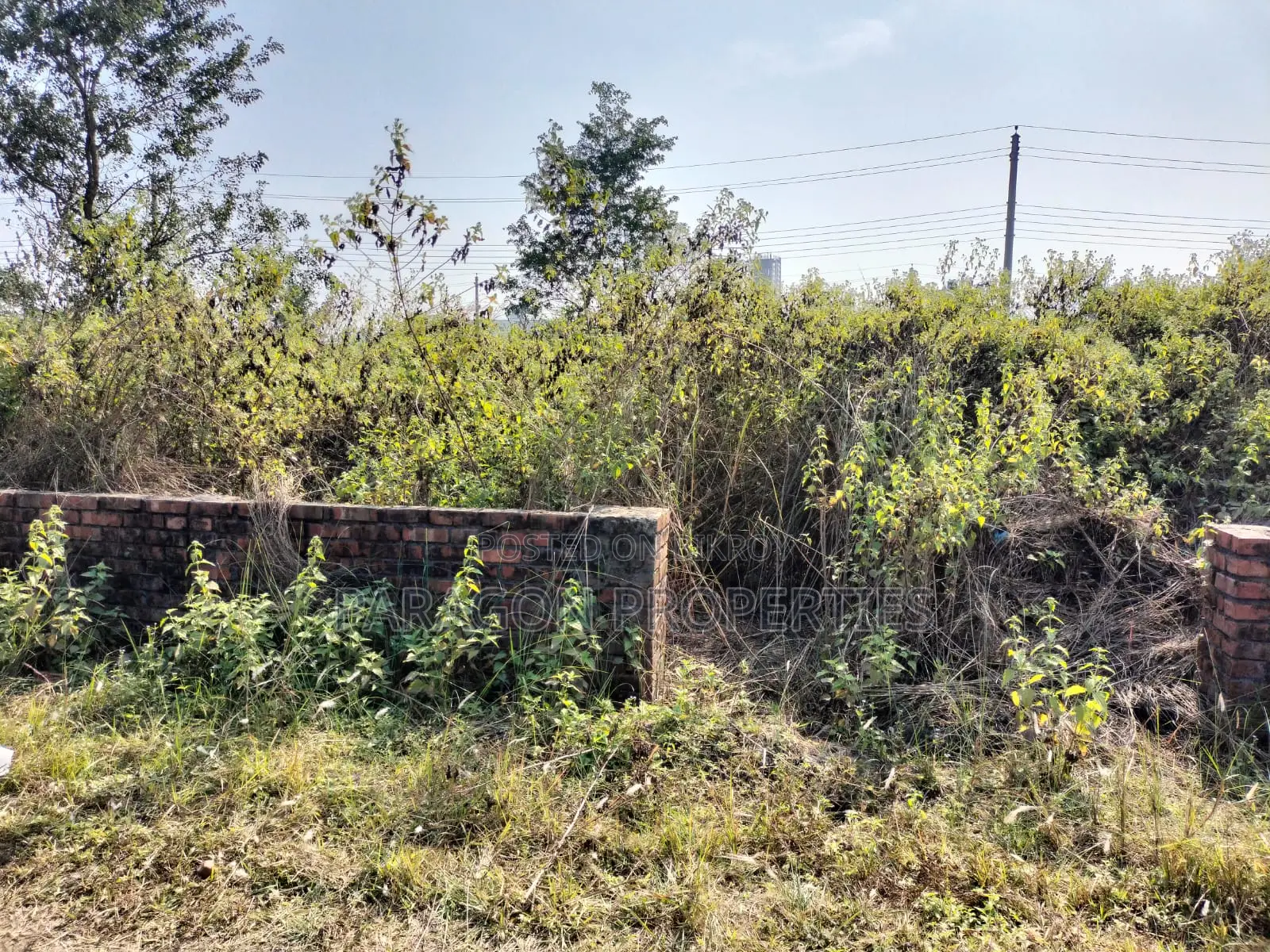 East Facing Plot in N Block