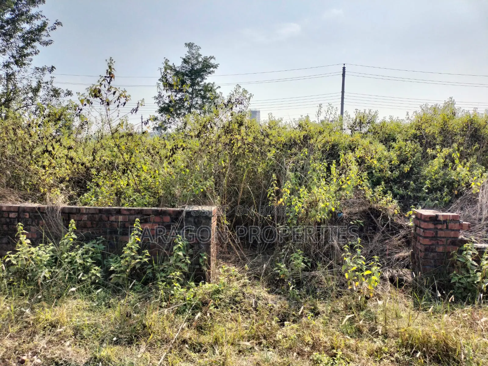 East Facing Plot in N Block
