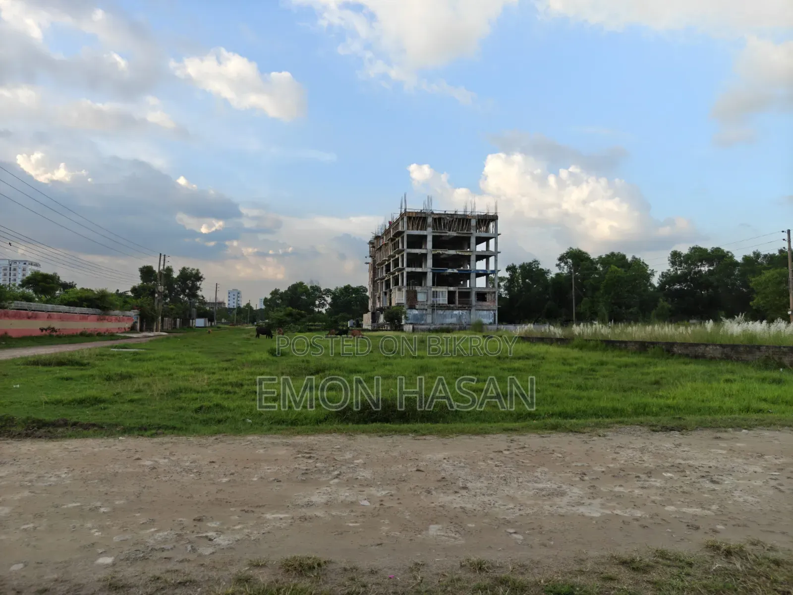 Ready Plot - 12 Katha - Ashulia Model Town
