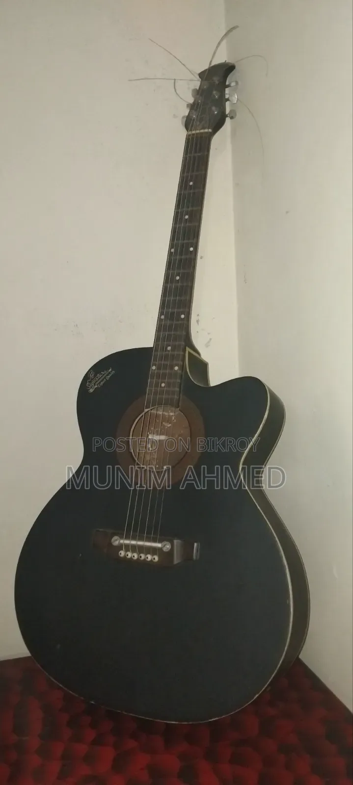 Signature Accutastic Guitar
