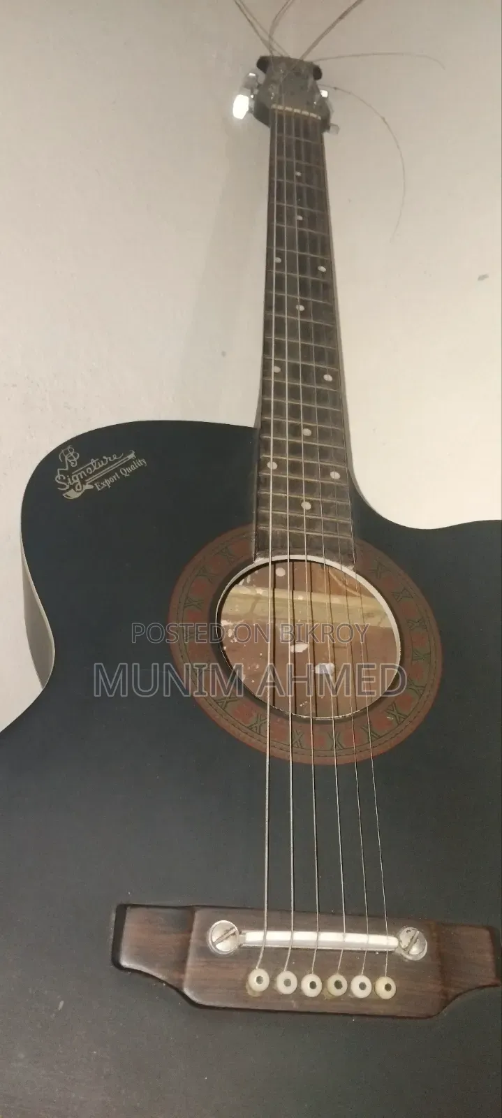 Signature Accutastic Guitar