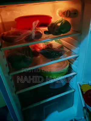 Singer Fridge for Sell