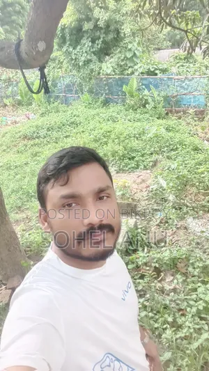 Any Kind of Work