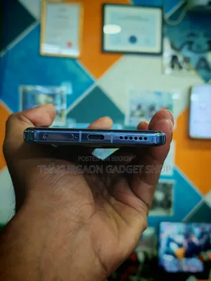 Vivo 256 GB Blue