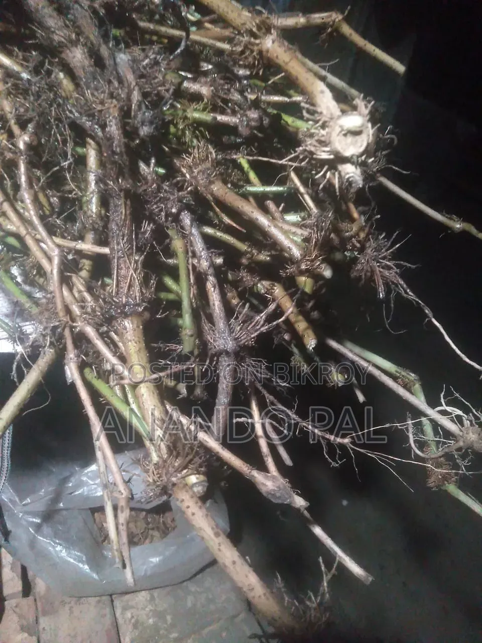 খুলনার স্থানীয় চুইঝাল