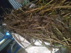খুলনার স্থানীয় চুইঝাল