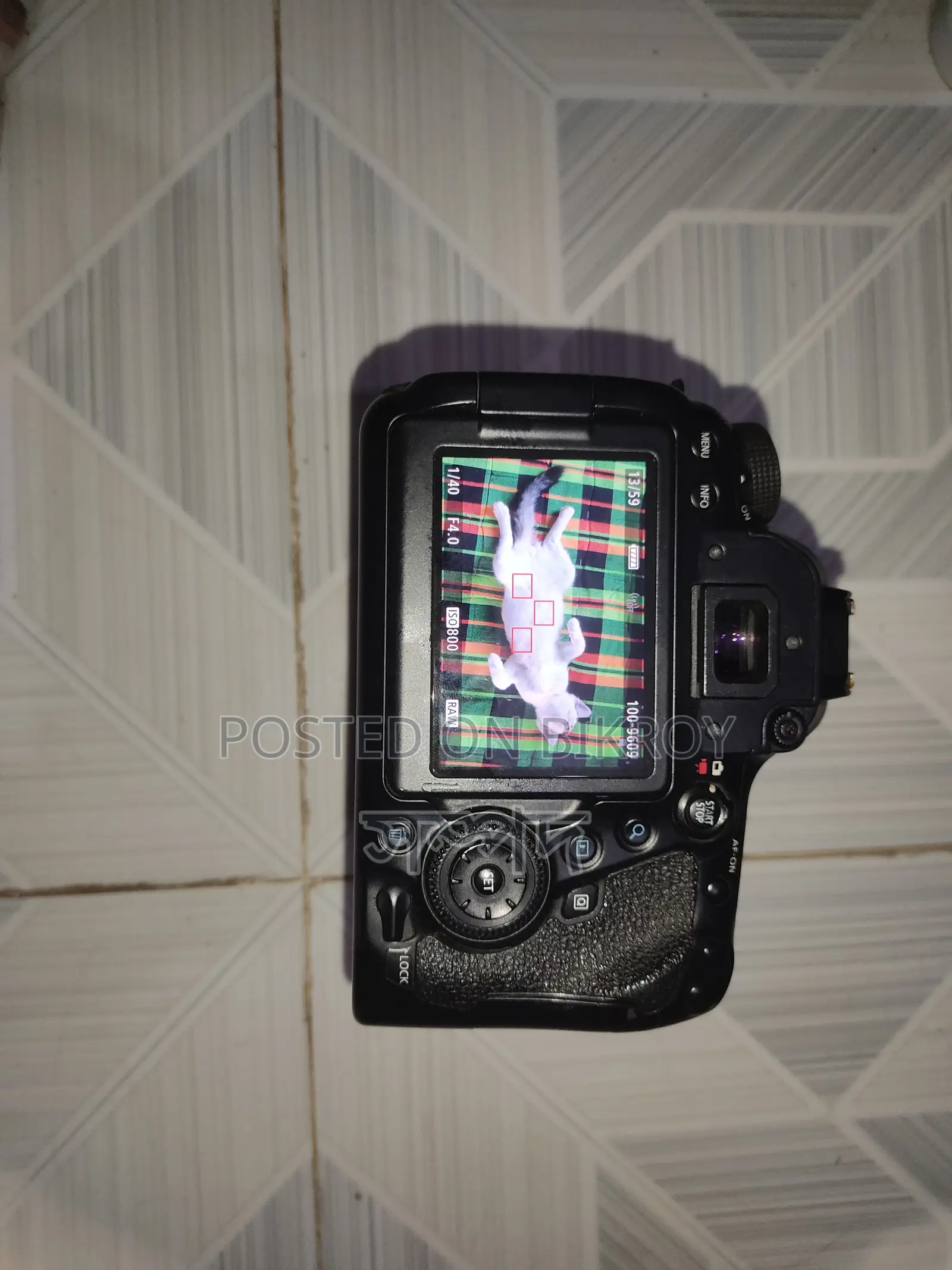 Canon 6D Mark Ii With 24-105 F4L Lense