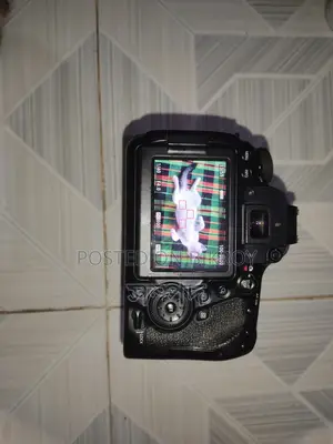 Canon 6D Mark Ii With 24-105 F4L Lense