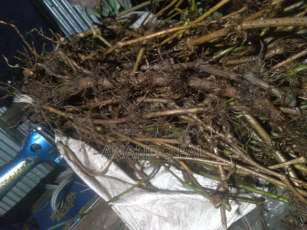 খুলনার স্থানীয় চুইঝাল