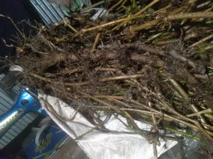 খুলনার স্থানীয় চুইঝাল