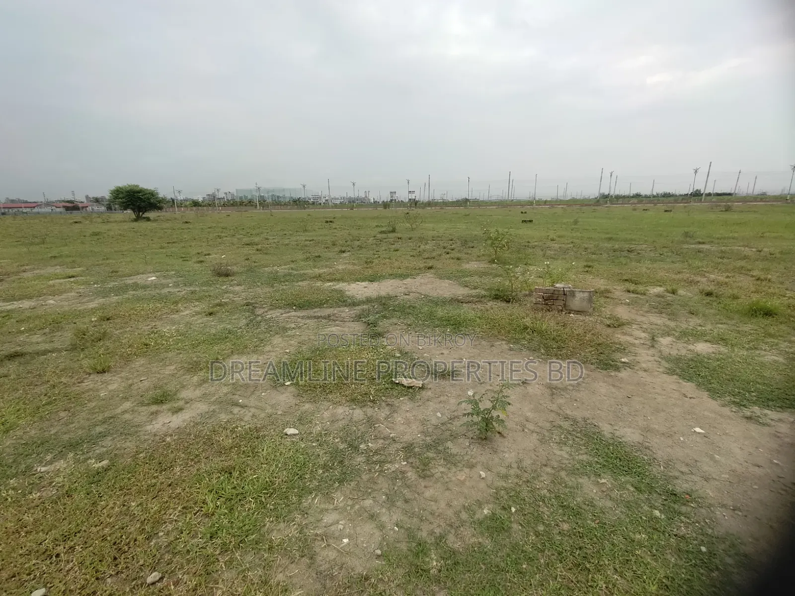 N-Extension, 5-Katha South Face Plot Urgent Sell in Bashundhara R /A