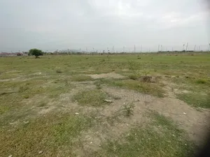 N-Extension, 5-Katha South Face Plot Urgent Sell in Bashundhara R /A