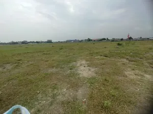 N-Extension, 5-Katha South Face Plot Urgent Sell in Bashundhara R /A
