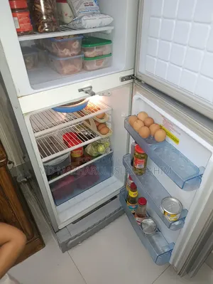 Vision Refrigerator