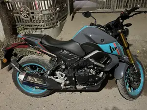 New Yamaha MT-15 2022 Gray