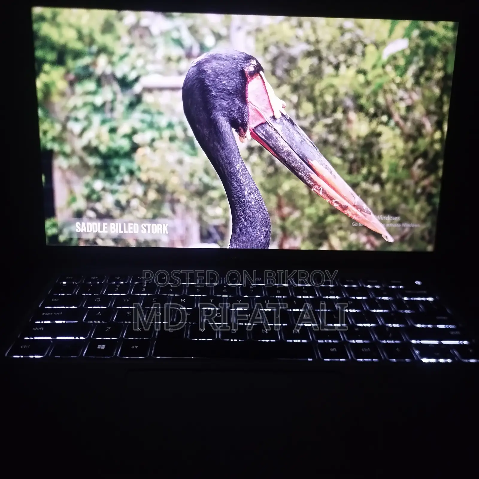 Laptop Dell Latitude 5420 16GB Intel Core i7 SSD 512GB