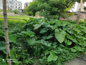 ১.৫ কাঠা স্কয়ার জমি বিক্রয় হবে