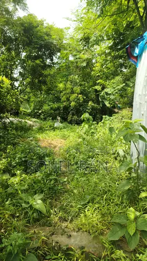 জমি বিক্রয় - ৪.৩৮ ডেসিমাল - জামসিং, সাভার