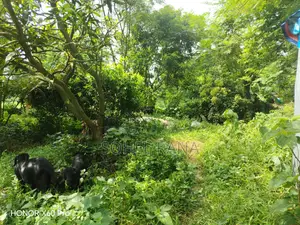 জমি বিক্রয় - ৪.৩৮ ডেসিমাল - জামসিং, সাভার