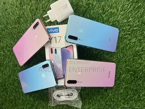 Vivo Y17 256 GB Pink