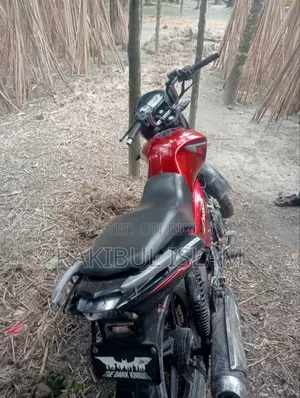 Bajaj Avenger 220 2017 Green
