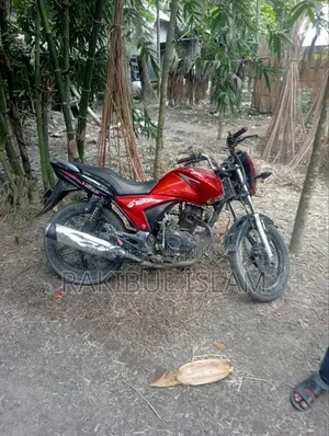 Bajaj Avenger 220 2017 Green