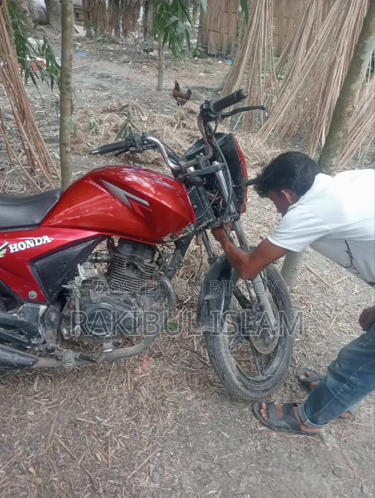 Bajaj Avenger 220 2017 Green