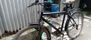 বাই সাইকেল