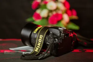 Nikon D5600 and 85mm 1.8 Prime Lens, 18-135 Mm Lens