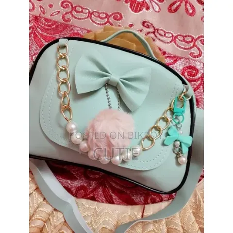 Ladies Handbag