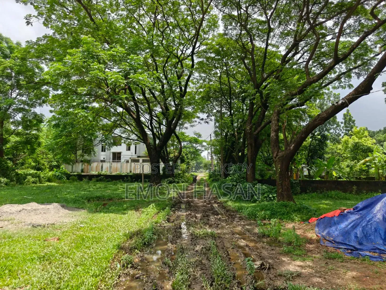 Ready Plot - 10 Katha - Ashulia Model Town