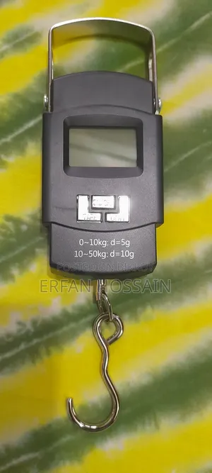 পোর্টাবল ইলেকট্রনিক্স স্কেল