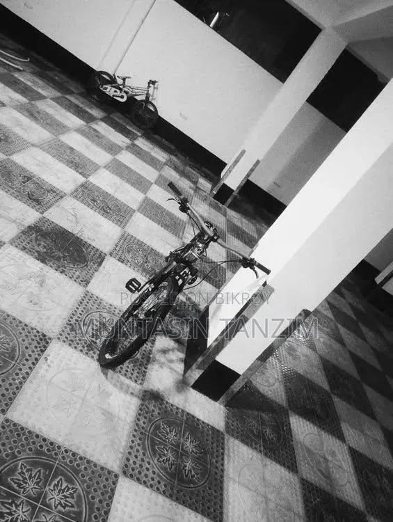 Fresh Cycle