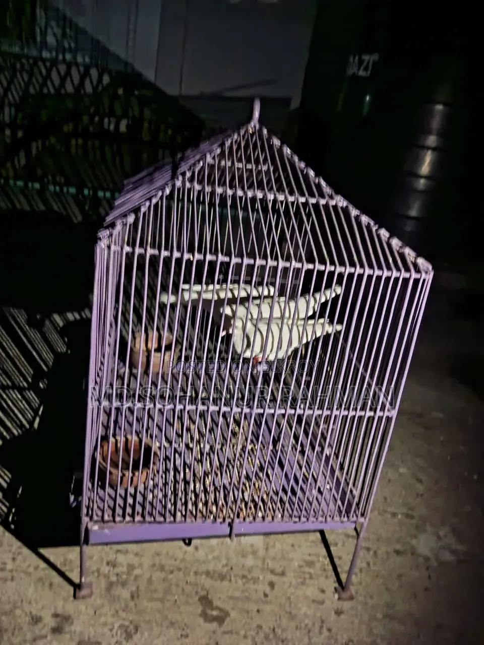 খাঁচা সহ ঘুঘু পাখি বিক্রয়