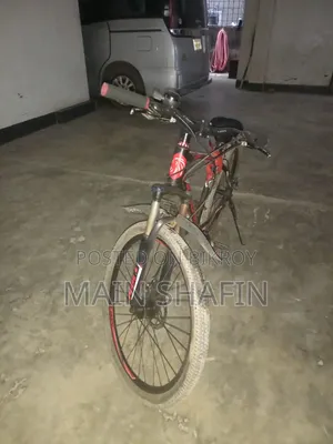 লায়ন সাইকেল