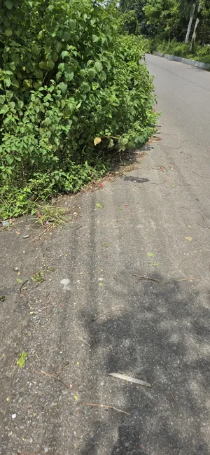 Rajuk Purbachal Sector -11,East Facing Plot Sell