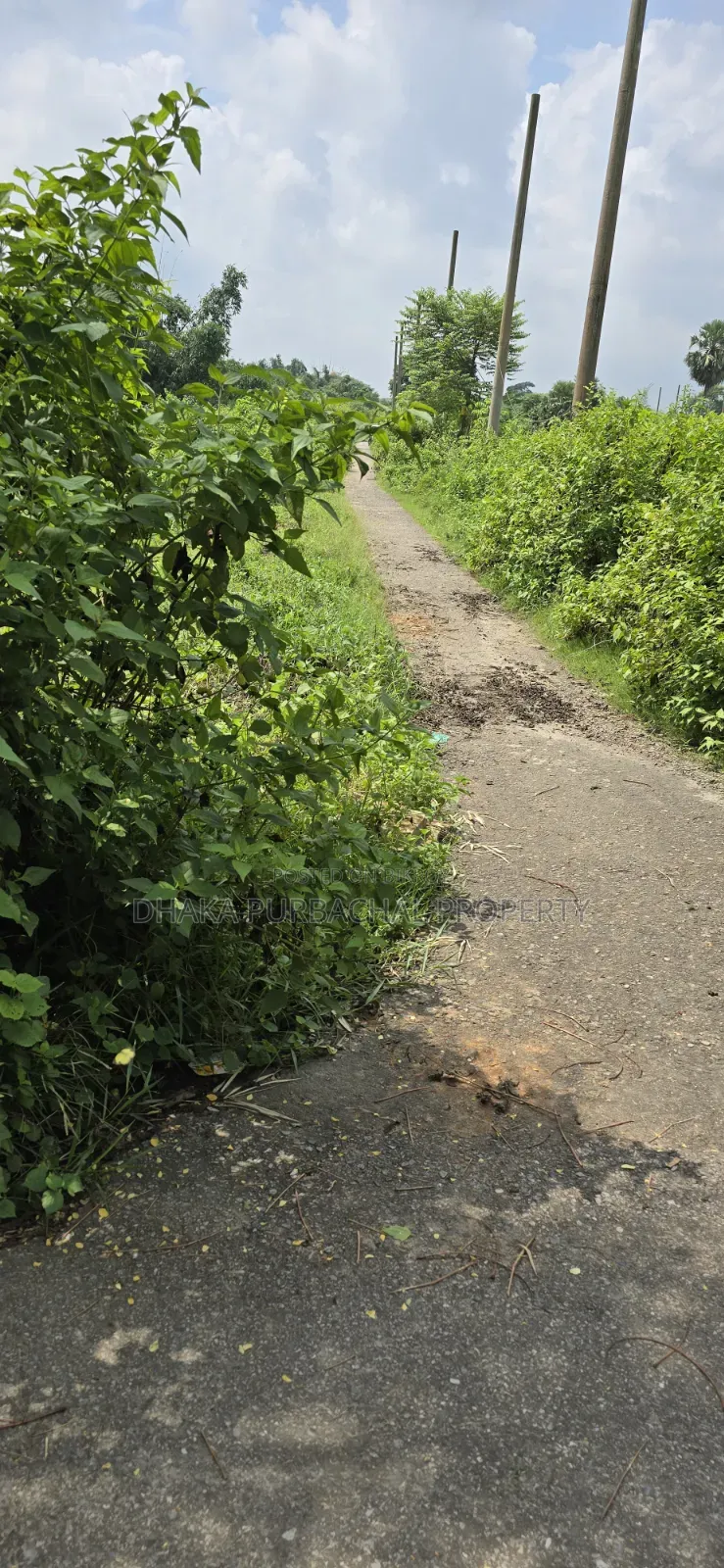 3 Katha Corner Affected Plot Sell
