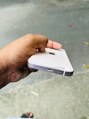নতুন ইএল ২৫৬ জিবি গোলাপি