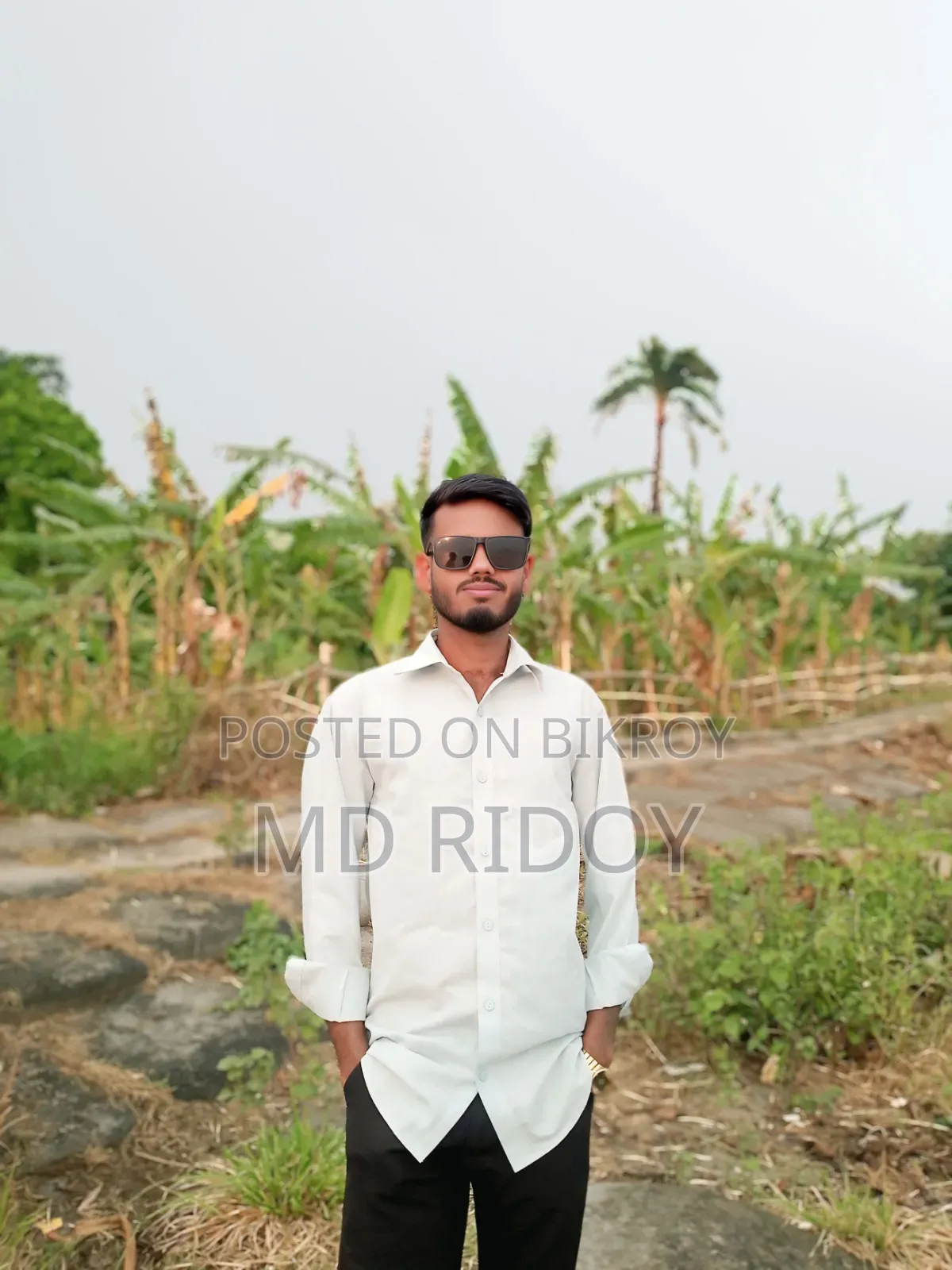 আমি সব কিছু সঠিক ভাবে পালন করবো