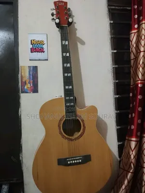 TGM Acoustic Guitar