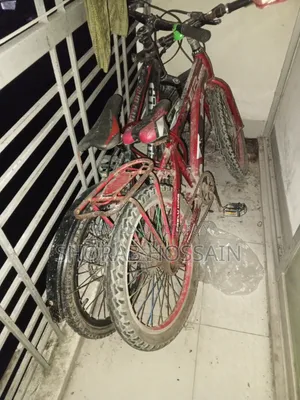 Cycle of Child