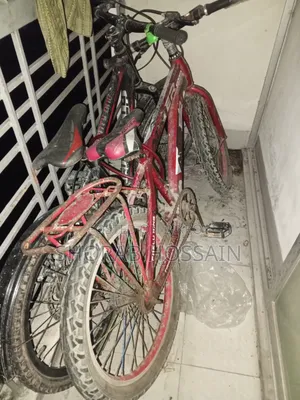 Cycle of Child