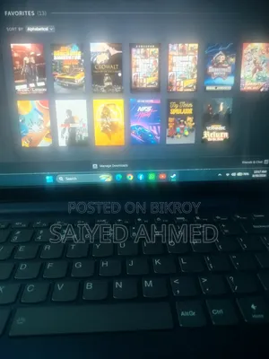 Steam Game