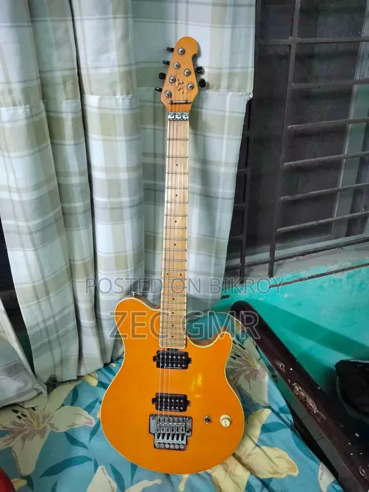Sx Guitar With Upgraded Humbuckers