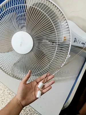 Mira Wall Fan