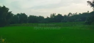 Land for Rent