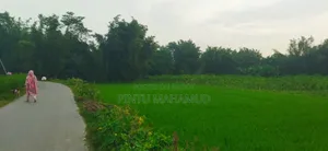 Land for Rent
